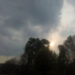 Low angle view of trees against cloudy sky