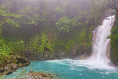 View of waterfall in forest