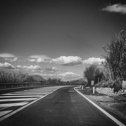 Empty road along trees