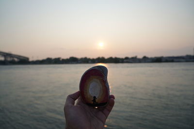 Close-up of hand holding seashell against sea during sunset