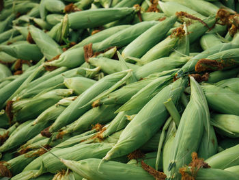 Full frame shot of vegetables for sale in market