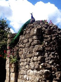 Low angle view of building against cloudy sky