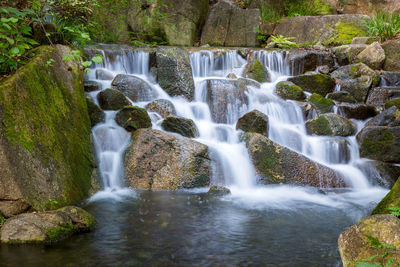 View of waterfall in forest