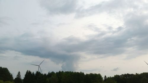 Low angle view of trees against sky