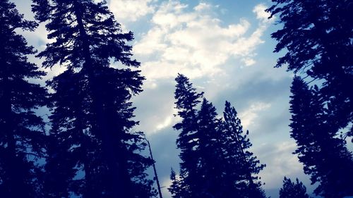 Low angle view of trees against cloudy sky