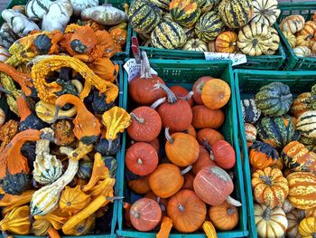 Variety of food for sale