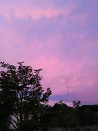 Low angle view of silhouette trees against sky at sunset