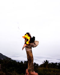 Man standing on rock against sky