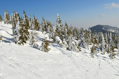 Scenic view of snow covered mountains against sky