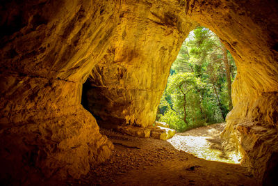 Bats cave in italy