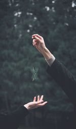 Cropped hands playing with plants in forest