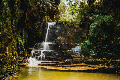 Waterfall in forest