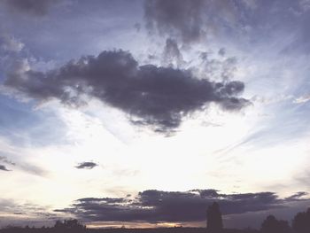 Low angle view of silhouette trees against sky