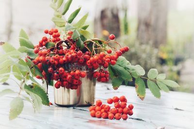 Close-up of rowanberries in container on table