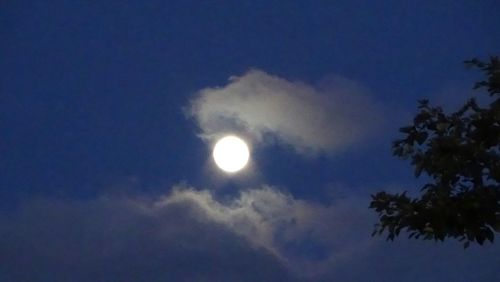 Low angle view of moon in sky