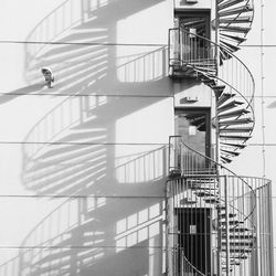 View of spiral stairs against the wall