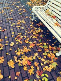 High angle view of autumn leaves on footpath in park