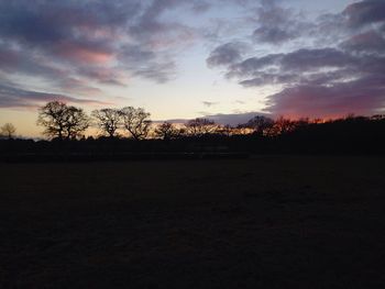 Silhouette of trees at sunset