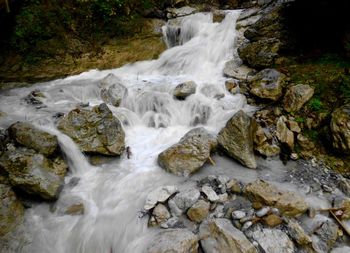 Scenic view of waterfall in forest