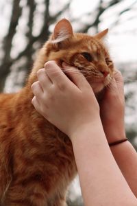 My daughter petting her cat