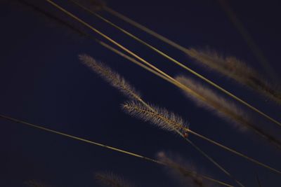 Tilt image of sky at night