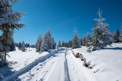 Snowy mountain country road in the forest