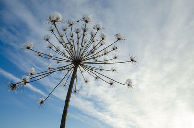 Low angle view of amusement park against sky