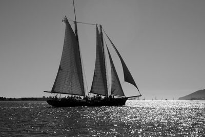 Sailboat sailing in calm sea against clear sky