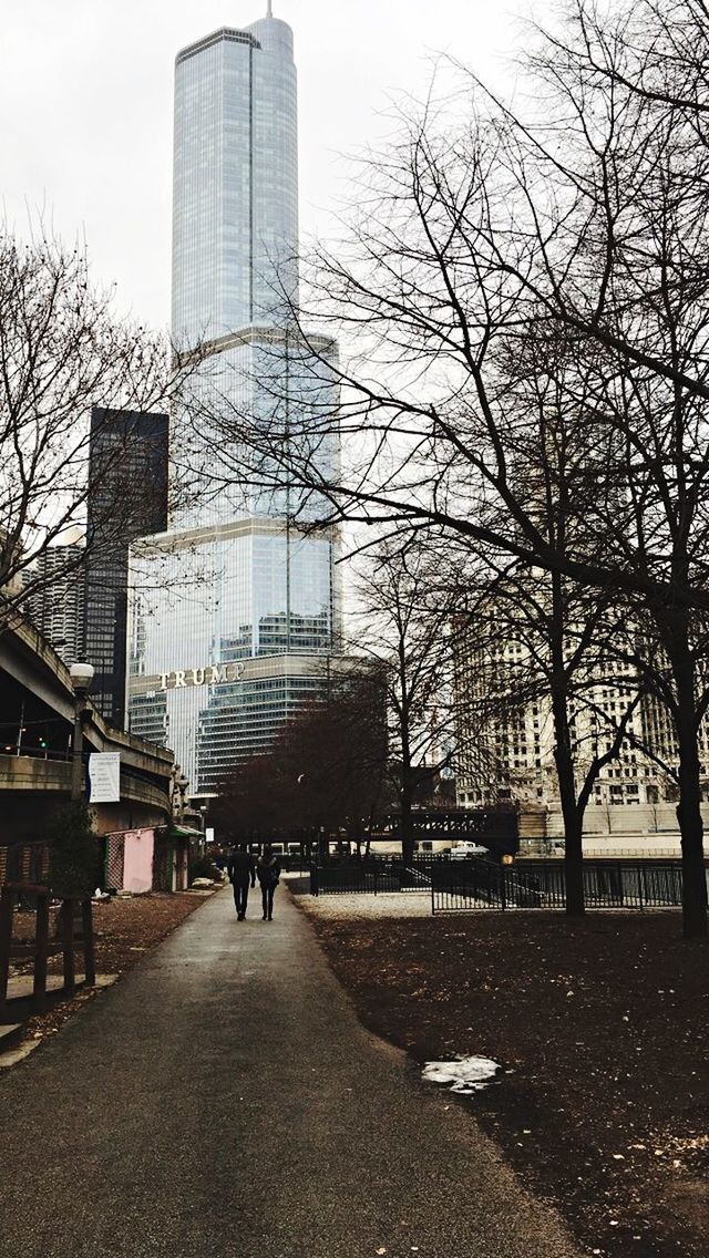 architecture, building exterior, built structure, bare tree, tree, day, real people, outdoors, city, sky, skyscraper, branch, men, people