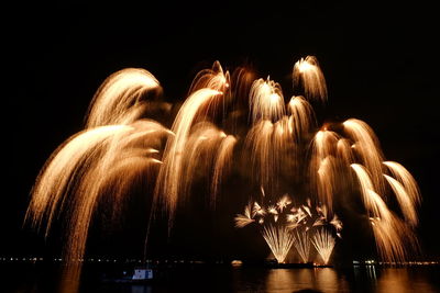 Low angle view of fireworks against sky at night