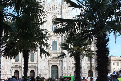 People by palm trees and buildings in city
