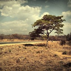 Scenic view of field against cloudy sky