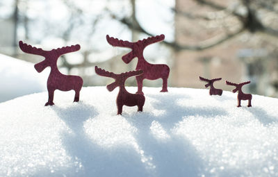 Close-up of christmas decorations on snow