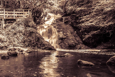 Scenic view of waterfall