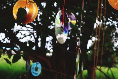 Low angle view of decoration hanging on tree