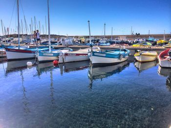 Sailboats moored at harbor