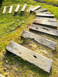 High angle view of wood on grass