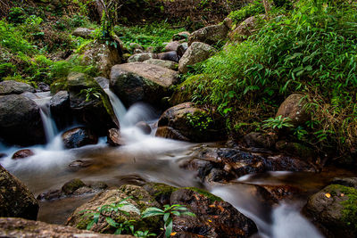 Scenic view of waterfall in forest