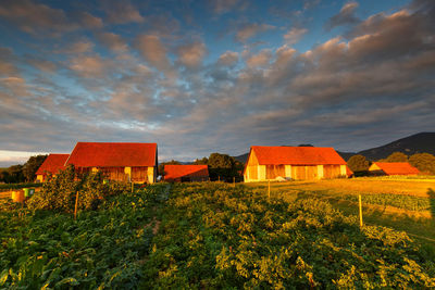 Traditional barns on the edge of a village in northern slovakia.