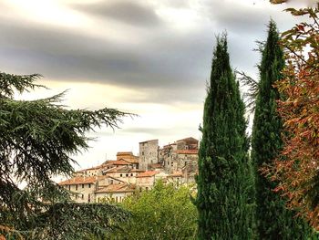 Trees and buildings against sky