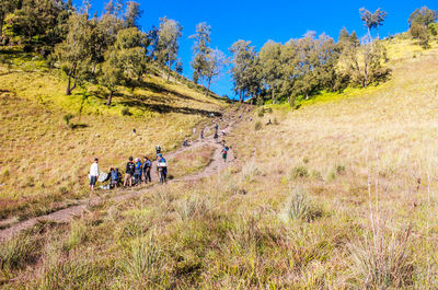 People walking on field against trees