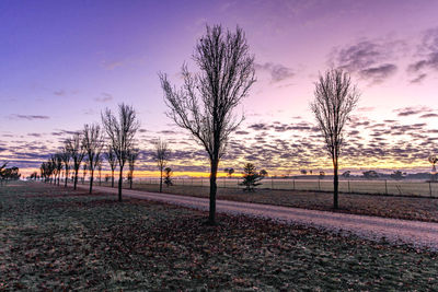 Bare trees on landscape against sky