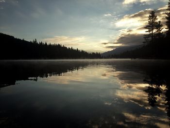 Reflection of trees in water