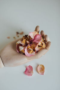 High angle view of pink flowers on table