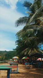 Palm trees by swimming pool against sky