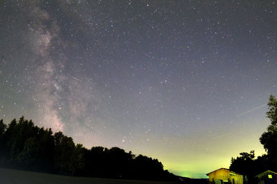 Low angle view of silhouette trees against star field at night