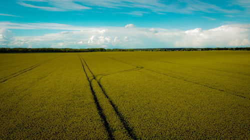 Scenic view of agricultural field against sky