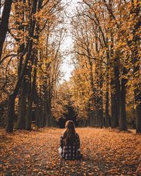 Rear view of woman sitting amidst trees during autumn