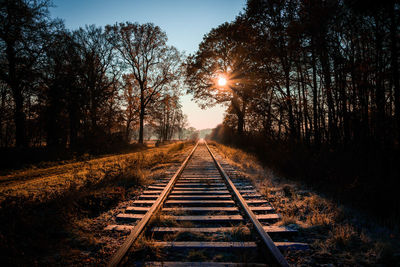 View of railroad tracks along trees