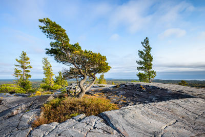 Scenic view of rocks by trees against sky